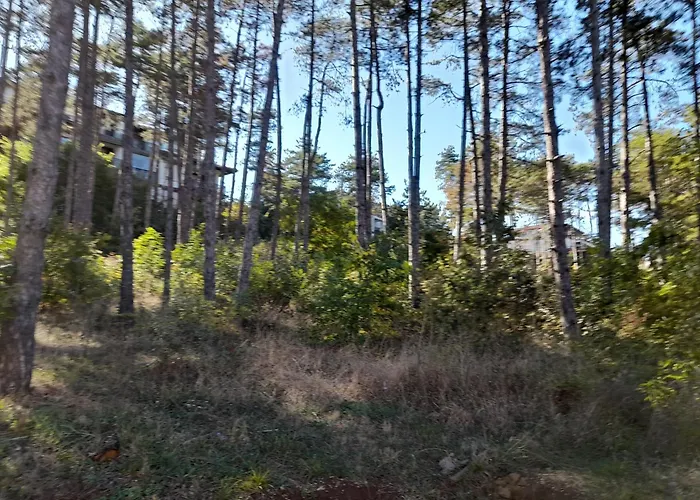 трёхкомнатные роскошные у моря в санта марина