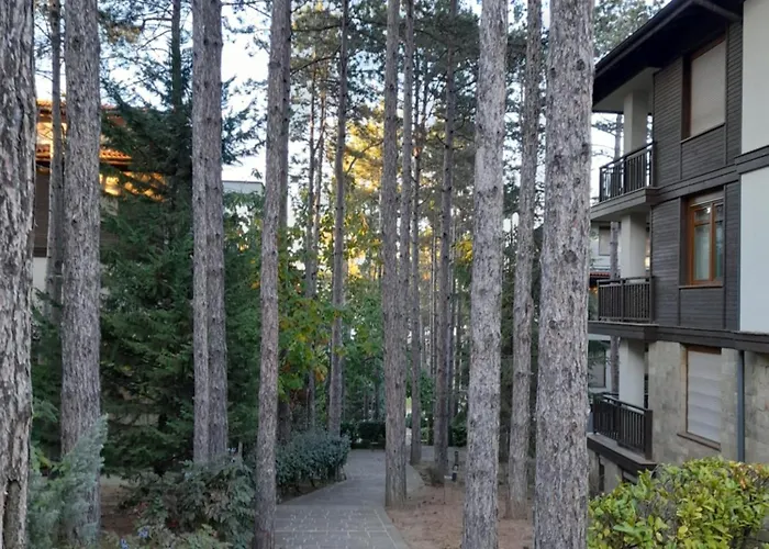 Apartamento трёхкомнатные роскошные у моря в санта марина *